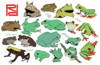 Image 1 of Frog PRINT