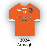 Image 2 of ALL-IRELAND FOOTBALL WINNERS GLOSSY 12x16in  POSTER 2024