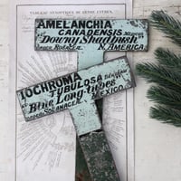 Image 1 of ONE Large Iron Botanical Plant Tag