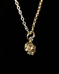 Image 4 of MINIMA CRANIA