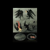 Image 1 of bird sticker sheet