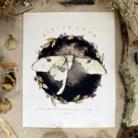 Image 1 of luna tribute