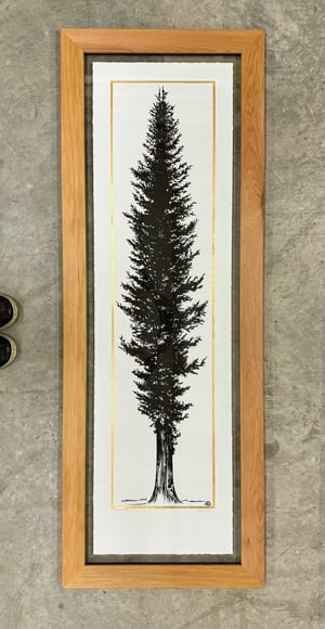 Gold Western Cedar Reforestation Edition Framed in Salvaged Western Cedar 2