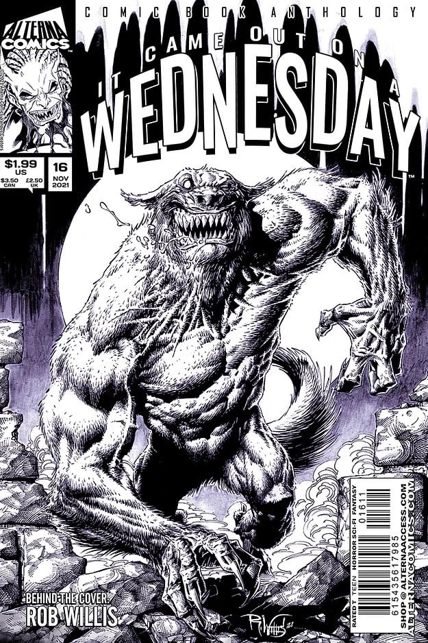 Image of IT CAME OUT ON A WEDNESDAY issue 16