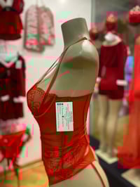 Image 3 of Fine Lines Bustier 