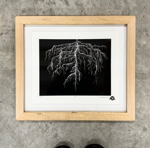 Roots Framed in Salvaged Maple 1