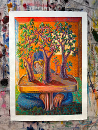 Image 1 of The Observer 