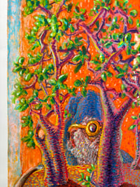 Image 2 of The Observer 
