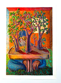 Image 4 of The Observer 