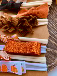 Image 2 of Pumpkin Bliss Nylonband Set