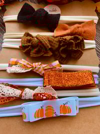 Image 3 of Pumpkin Bliss Nylonband Set