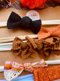 Image 4 of Pumpkin Bliss Nylonband Set