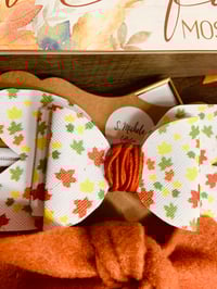 Image 3 of Olive Green & Burnt Orange Bow Nylonband Set