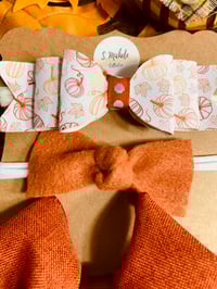 Image 2 of Autumn Orange Bow Nylonband Set