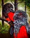 Dracula Parrots ( Print )