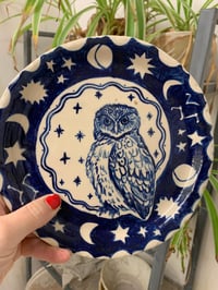 Image 1 of Owl plate- slight second