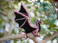 Small Wyvern