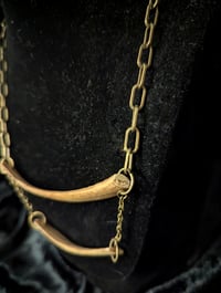 Image 2 of Rib bone necklace