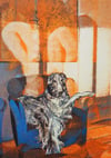 Her Favourite Chair A5 Risograph Print