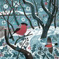 Image 2 of Falmouth Bullfinches Small Print