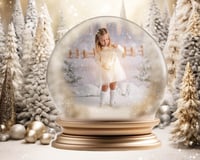 Image 4 of Christmas Snow Globe Edits