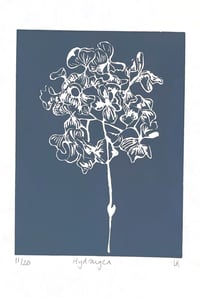 Image 1 of Grey Hydrangea
