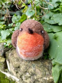 Felted Robin
