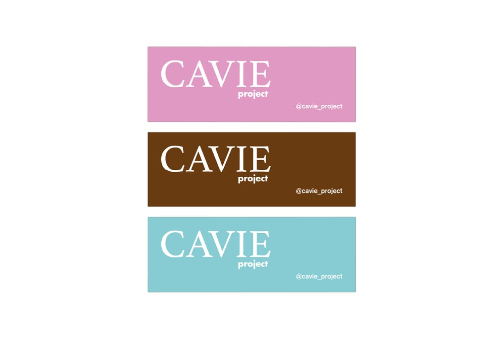 Stickers Pack (box logo)