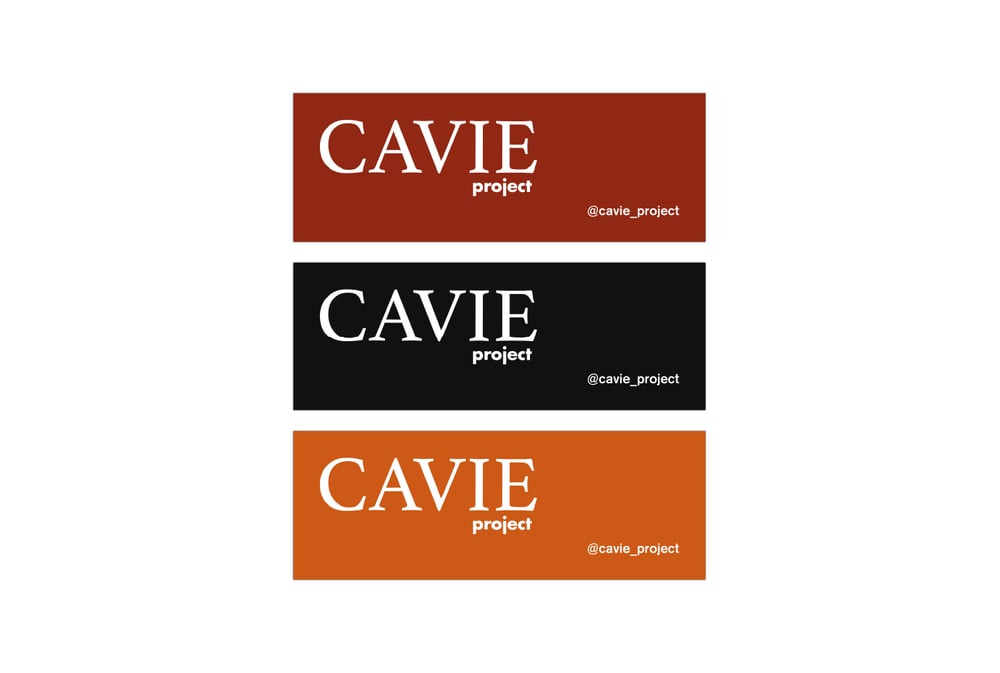 Stickers Pack (box logo)