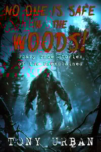 No One Is Safe In The Woods