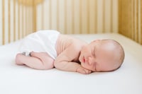 February Newborn Session (weekdays only)