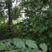 Image 1 of Franciska Og Emilie