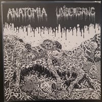 Image 1 of Undergang / Anatomia - Split - LP