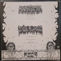 Image 2 of Undergang / Anatomia - Split - LP