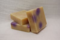 Image 16 of 6 pack Mix and Match FREE SHIPPING