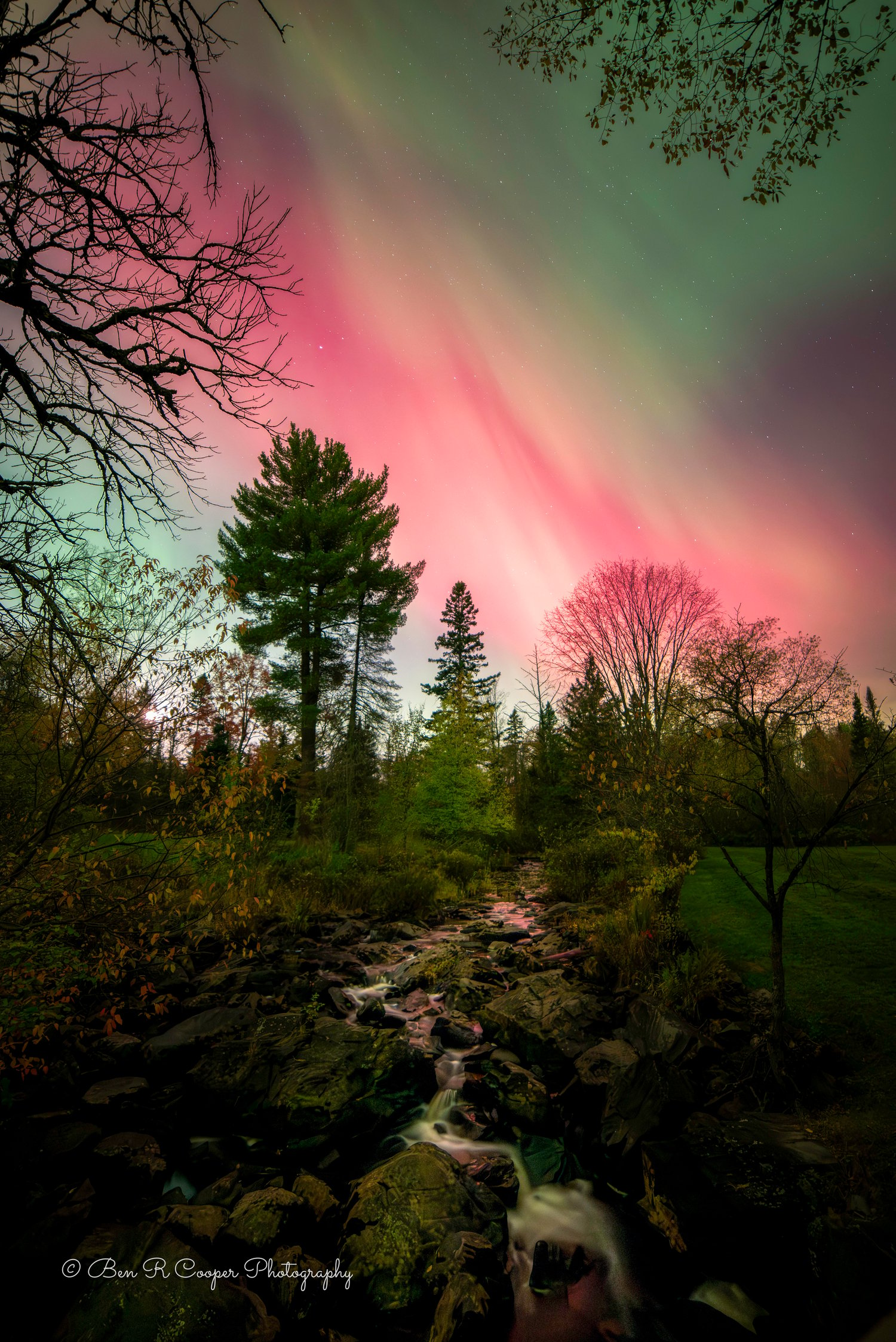 Tioga Creek Northern Lights