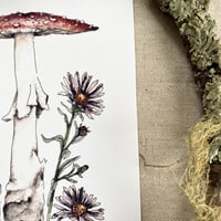 Image 2 of fall inspired amanita