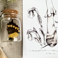 Image 3 of fall inspired amanita