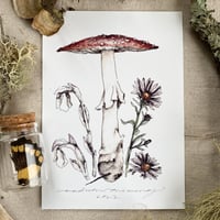 Image 1 of fall inspired amanita