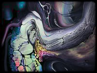 Image 3 of VINYL XXIV (-40%)