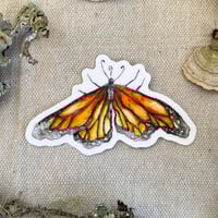 Image 3 of monarch metamorphosis sticker pack