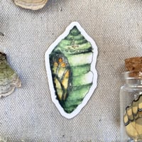 Image 2 of monarch metamorphosis sticker pack