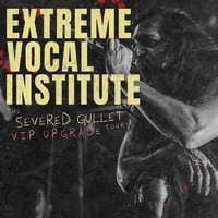 EVI VIP Concert Upgrade (Extremely Limited) - The Severed Gullet Tour