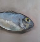 Image 3 of Nature morte au poisson bleu