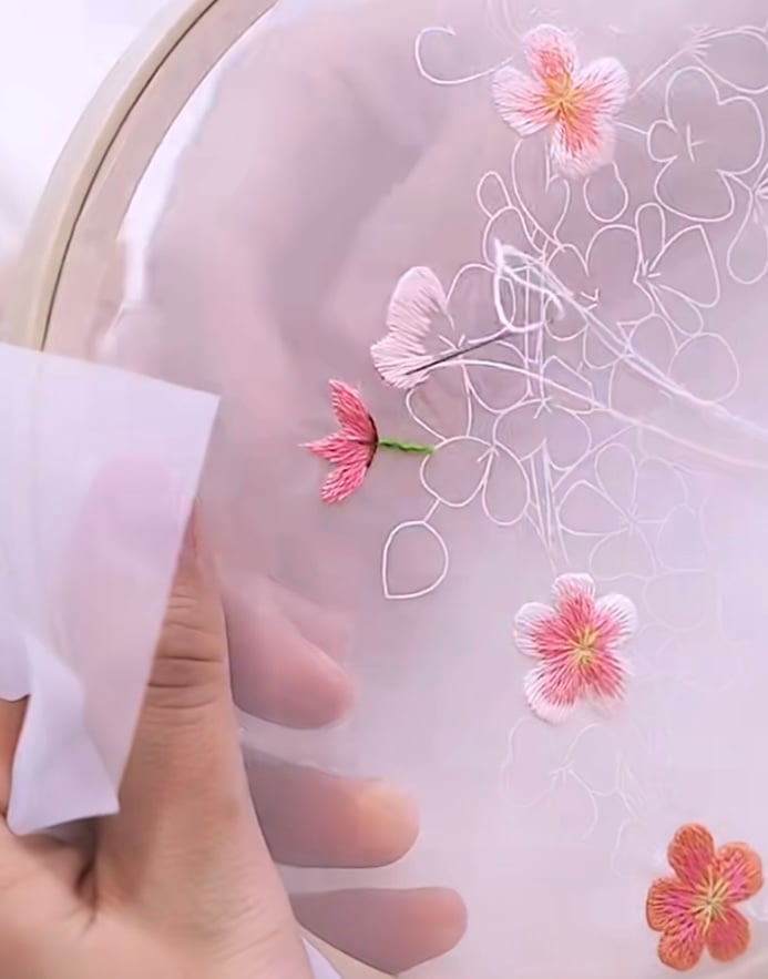 Image of New Activities coming soon...