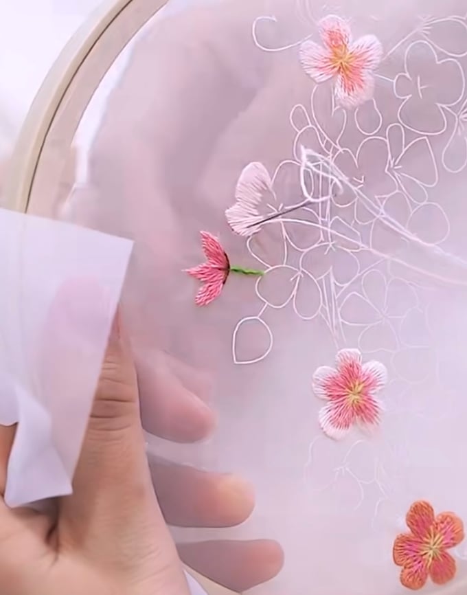 Image of New Activities coming soon...