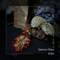 Image 1 of ☽ Quercus Glans ☾