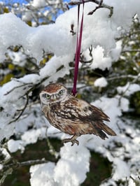 Image 3 of Little Owl - Wooden Christmas Decoration