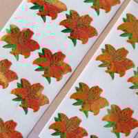 Image 2 of flowers