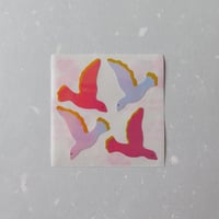 Image 2 of birds